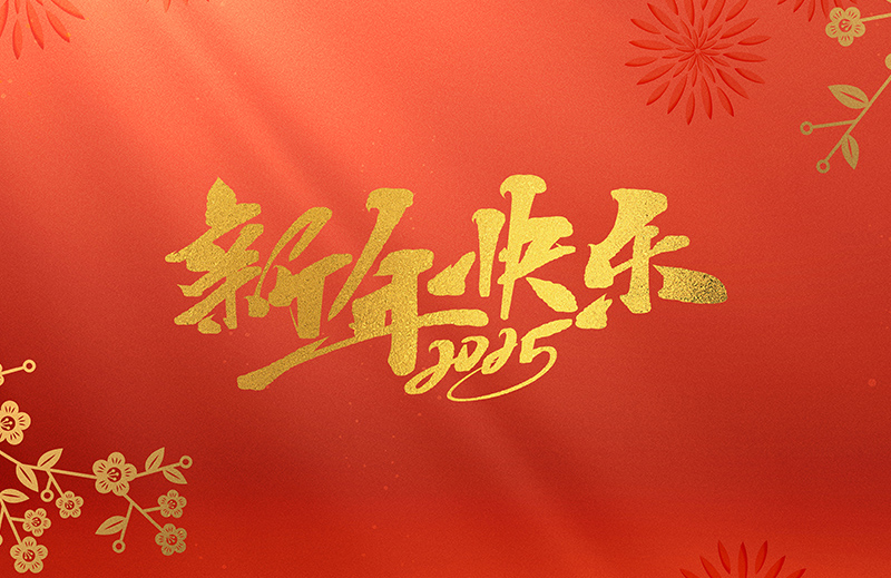 浙江中德自控科技股份有限公司祝大家2025新年快樂(lè)！